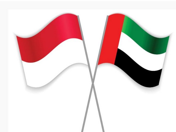 UAE-Indonesia: 47 years of cooperation and friendship (Photo/WAM)
