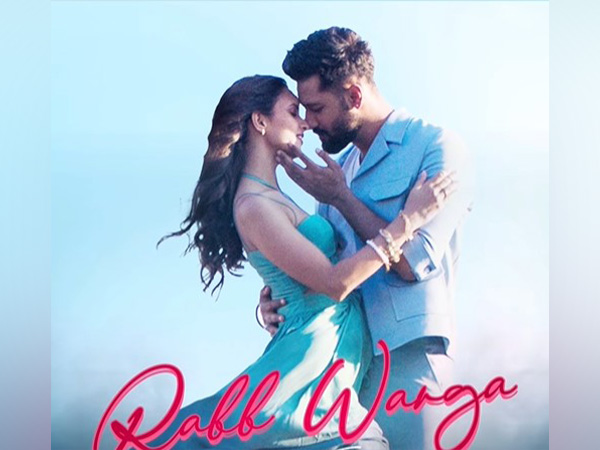 Vicky Kaushal, Triptii Dimri (Image Source: Instagram)