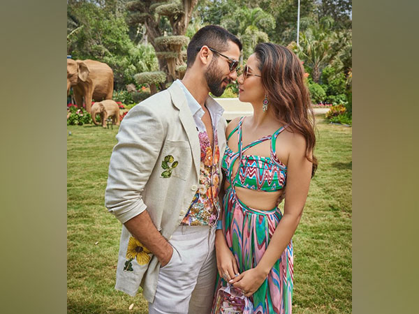 Shahid Kapoor, Mira Kapoor (Image Source: Instagram/shahidkapoor)