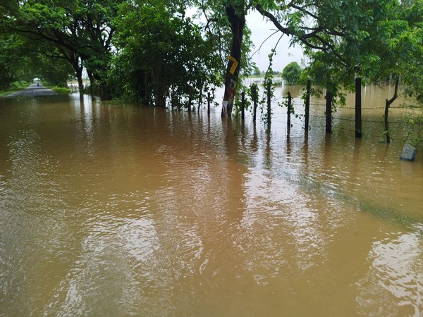 Godavari River water over flown into the main road. (Photo/ANI)