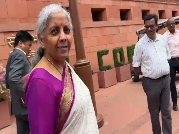 FM Nirmala Sitharaman outside Parliament (Photo/ANI)