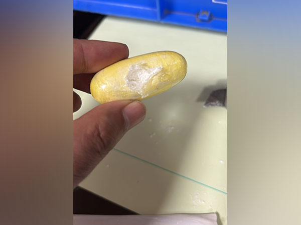 Recovered cocaine (Photo:CBI)