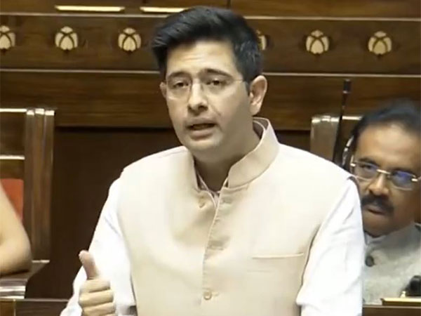 AAP MP Raghav Chadha (Photo/Sansad TV)