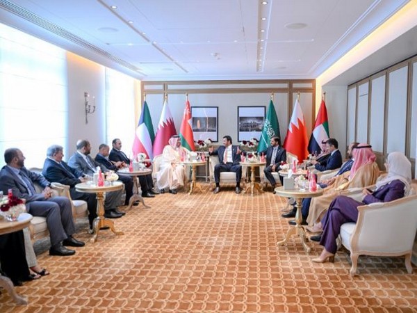 Rashid bin Humaid participates in a coordination meeting (Photo/WAM)