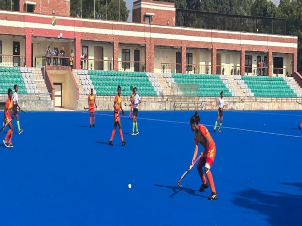 Players in action. (Picture: Hockey India)