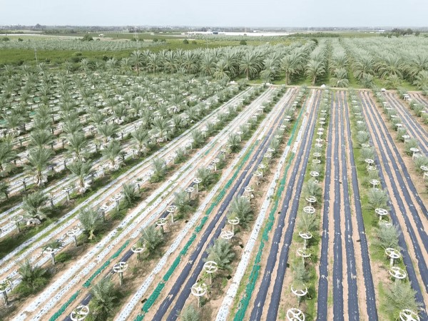 Visuals from the field (Photo/ANI)