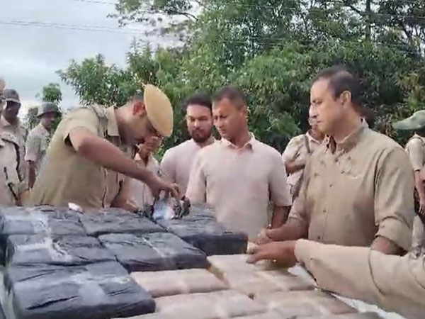 Drugs seized in joint operation by STF and Karimganj district police.(Photo/ANI)