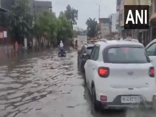 Visuals from Najafgarh (Photo/ANI) 