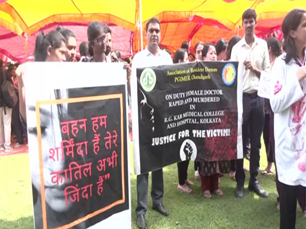 Chandigarh PGIMER doctors continue to stage protest (Photo/ANI)