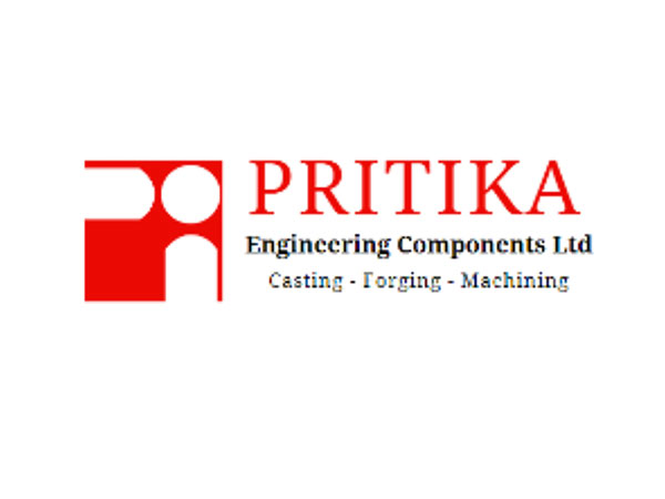 Pritika Engineering Component’s Consolidated Q1FY25 EBITDA Surged 32 per cent