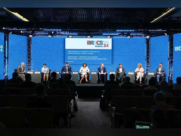 Nornickel’s Palladium Centre proposed initiatives for public-private partnerships in BRICS countries