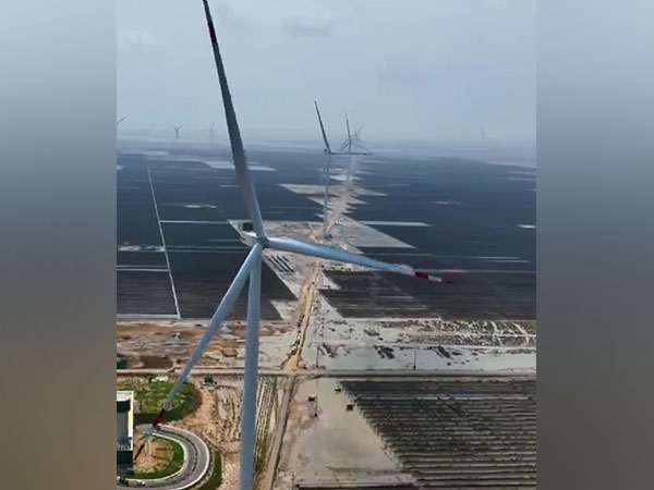 Representative Image (Photo/@AdaniGreen)