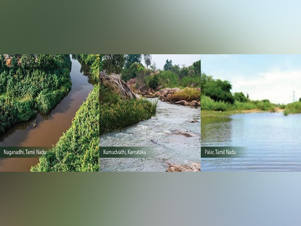 Healing rivers and water bodies throughout India