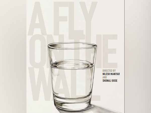 Poster of A Fly On the Wall (Image source: film's team)