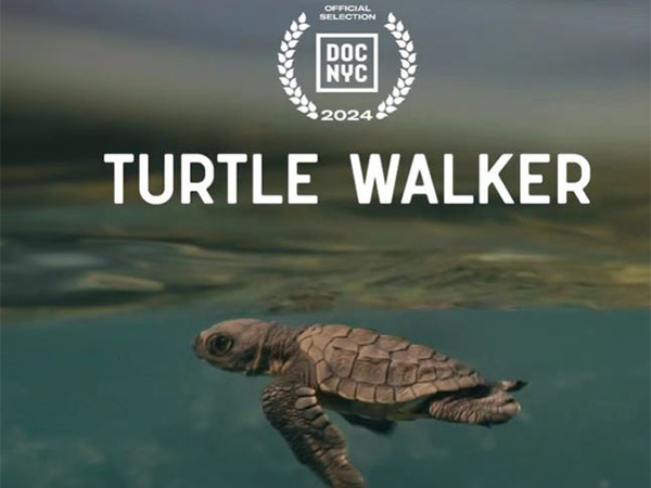 Poster of Turtle Walker (Image source: Instagram @tigerbabyofficial)