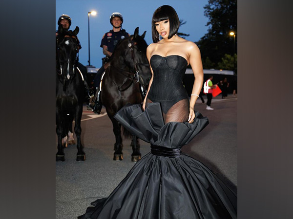 Megan Thee Stallion (Image source: Instagram/ @theestallion)