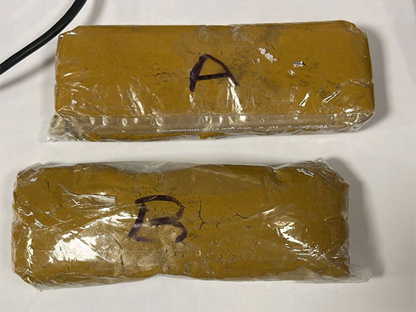 3,350 grams of gold valued at Rs 2.67 crore has been seized at Mumbai Airport (Photo/ANI)