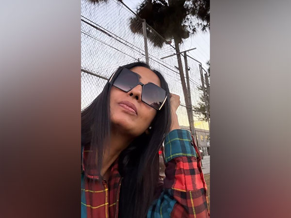 Kashmera Shah meets with accident (Photo/Instagram/@kashmera1)