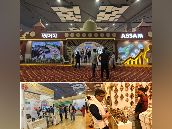 Assam Pavilion at India International Trade Fair 2024 (Images: DIPR Assam)