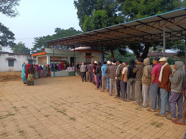 A long queue of voters at a polling booth in Maharashtra (Photo/ANI)