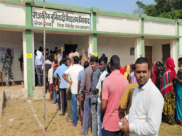 A queue of voters in Giridih distrcit of Jharkhand (Photo/X@District Election Officer, Giridih)