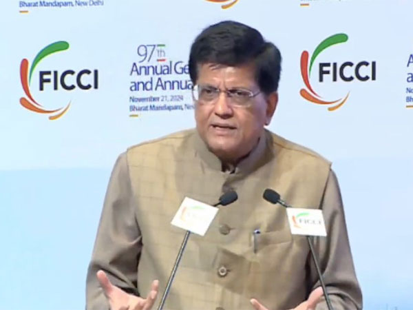 Union Commerce and Industry Minister, Piyush Goyal (Photo/PiyushGoyal/YT)