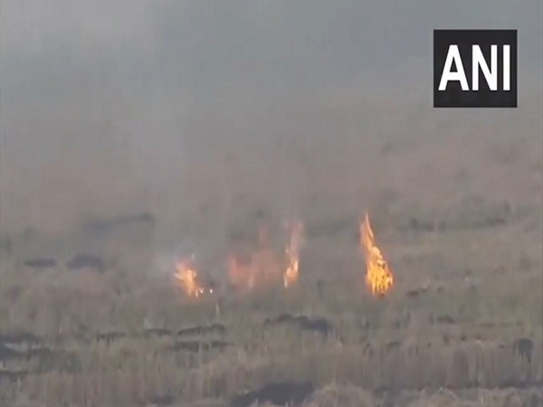 Stubble burning in Bathinda. (Photo/ANI)