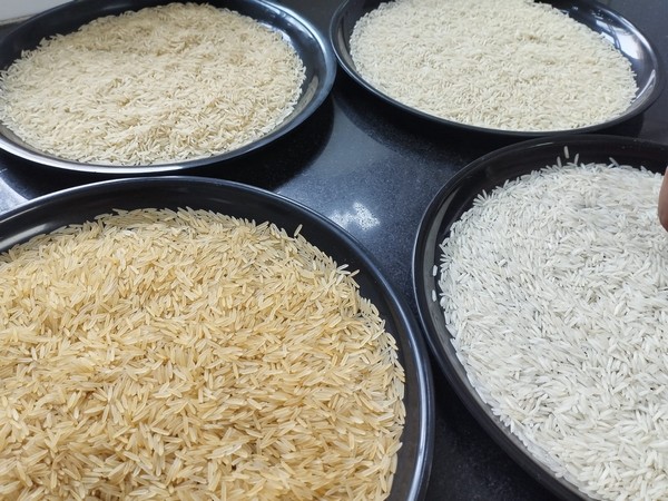 Basmati rice (Image: ANI)