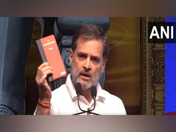 Lok Sabha LoP and Congress MP Rahul Gandhi (Photo/ANI)