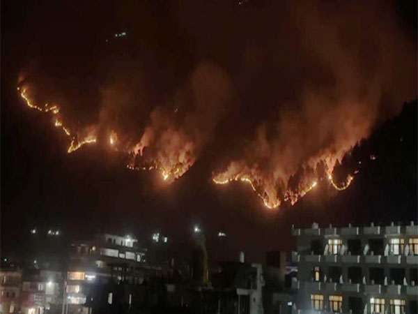  Fire breaks out in forest of Bada Bhuin Panchayat. (Photo/ANI) 