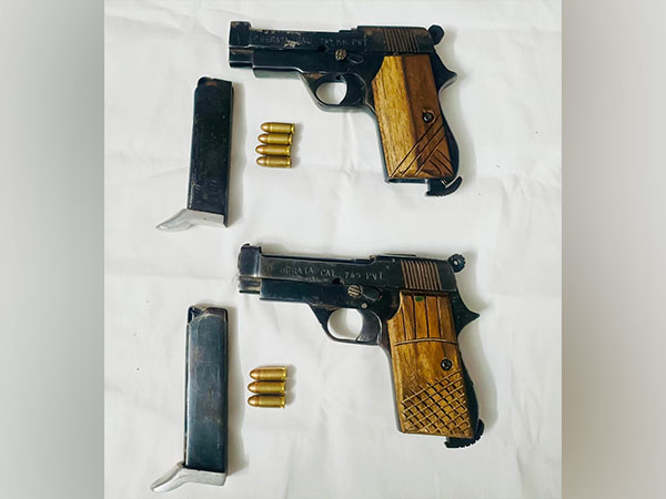 Pistols recovered by the officials. (Photo/@DGPPunjabPolice) 
