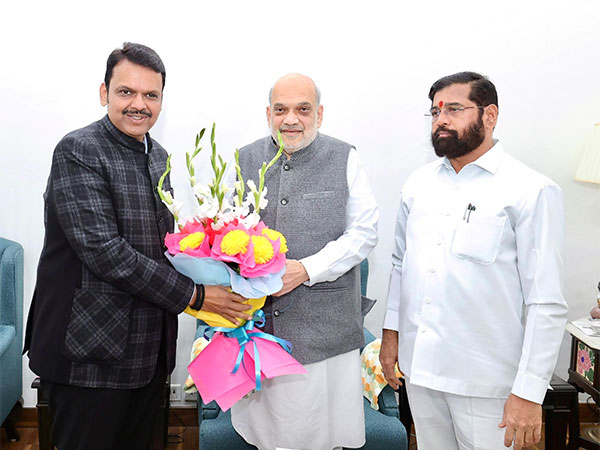 Mahayuti leaders meet Amit Shah. (Photo/@Dev_Fadnavis)