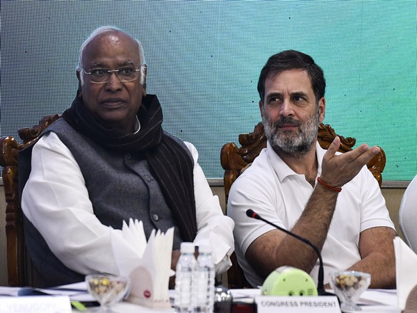 Leader of Opposition in Lok Sabha and Congress leader Rahul Gandhi with party president Mallikarjun Kharge at Congress Working Committee (CWC) meeting. (Photo/ANI)