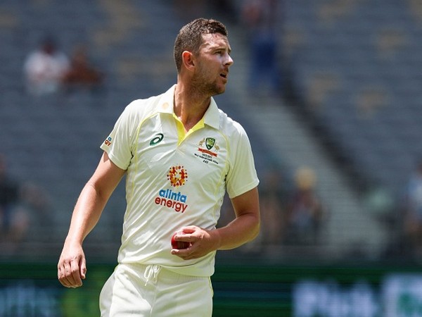 Josh Hazlewood. (Photo; cricket.com.au)