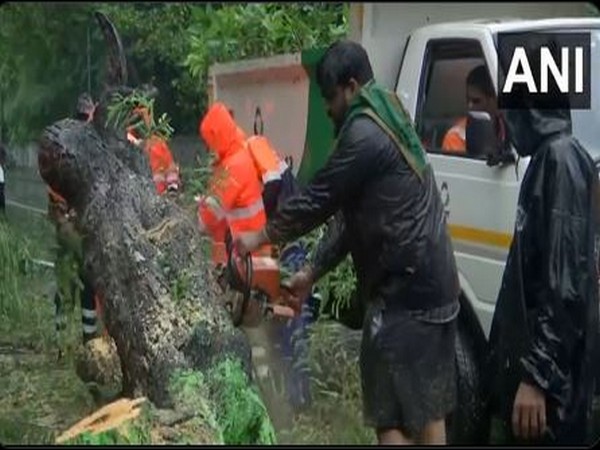 Officials clear uprooted tress in Chennai's Besant Nagar on Saturday (Photo/ANI)