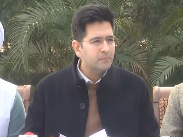 AAP leader Raghav Chadha (File Photo/ANI)