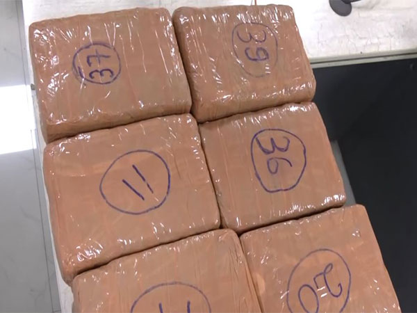 Visakhapatnam Police seize 122 kg of cannabis disguised as dry fruits in online order (Photo/ANI)