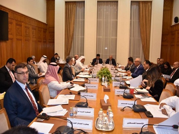 UAE participates in third team meeting for development of joint Arab economic, social work (Photo/WAM)