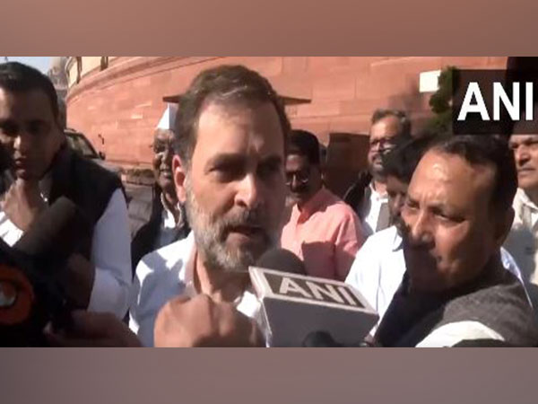 Lok Sabha Leader of Opposition Rahul Gandhi (Photo/ANI)