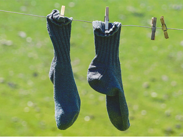 Representative Image (Pexels.com)