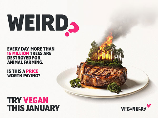Veganuary 2025 campaign launched- questions the strange reality of food ‘norms’ 