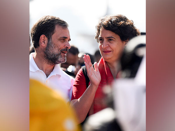 Leader of Opposition in Lok Sabha Rahul Gandhi with Congress MP Priyanka Gandhi Vadra (File Photo)
