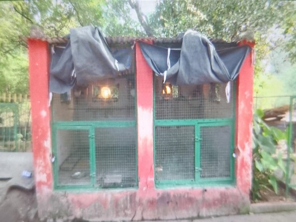 Curtain, bulb and heather installed inside the enclosure (Photo/ANI) 
