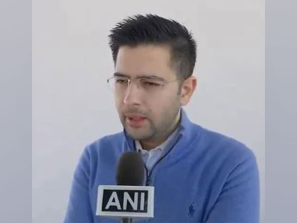 AAP MP Raghav Chadha. (Photo/ANI)