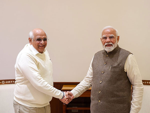 Gujarat CM Patel met PM Modi in national capital (Photo/CMO Gujarat X)