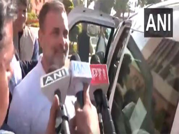 Lok Sabha Leader of Opposition Rahul Gandhi (Photo/ANI)