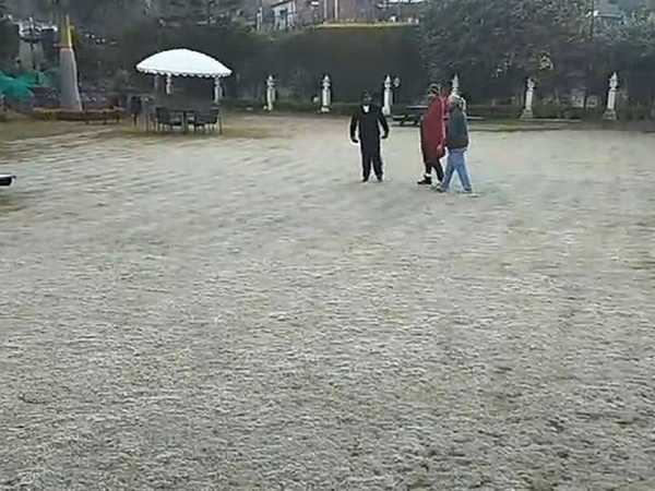 Rajasthan's Mount Abu freezes as temperatures plunge to 1.4°C (Photo/ANI)