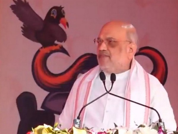 Union Home Minister Amit Shah. (Photo/ANI)