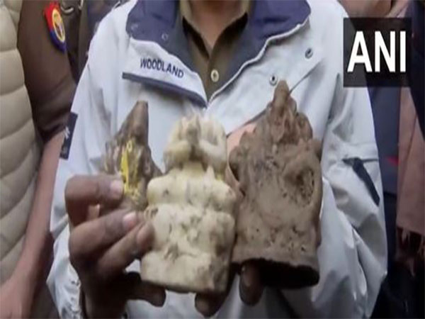 Idols recovered from near the temple (Photo/ANI)