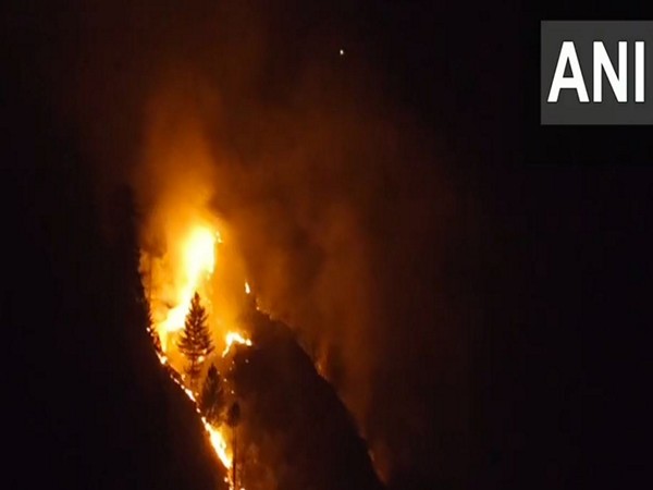 Fire breaks out in forest area near Gandoh Bhalessa village in J-K's Doda. (Photo/ANI)